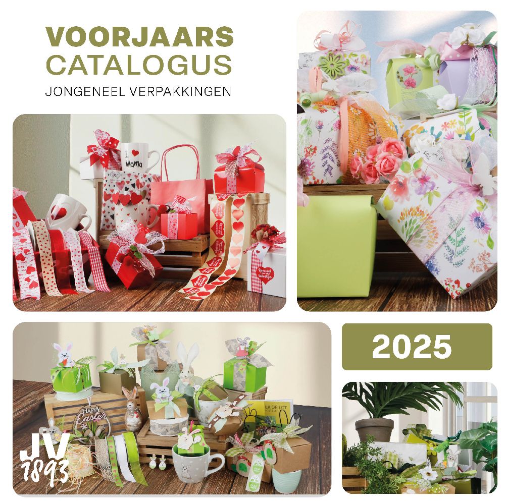 Catalog 2025-2026